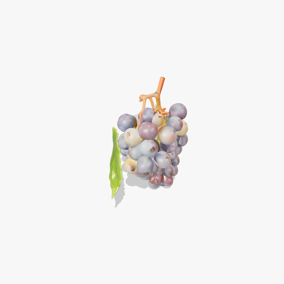 Organic Grape Bunch Natural Imperfections model pack